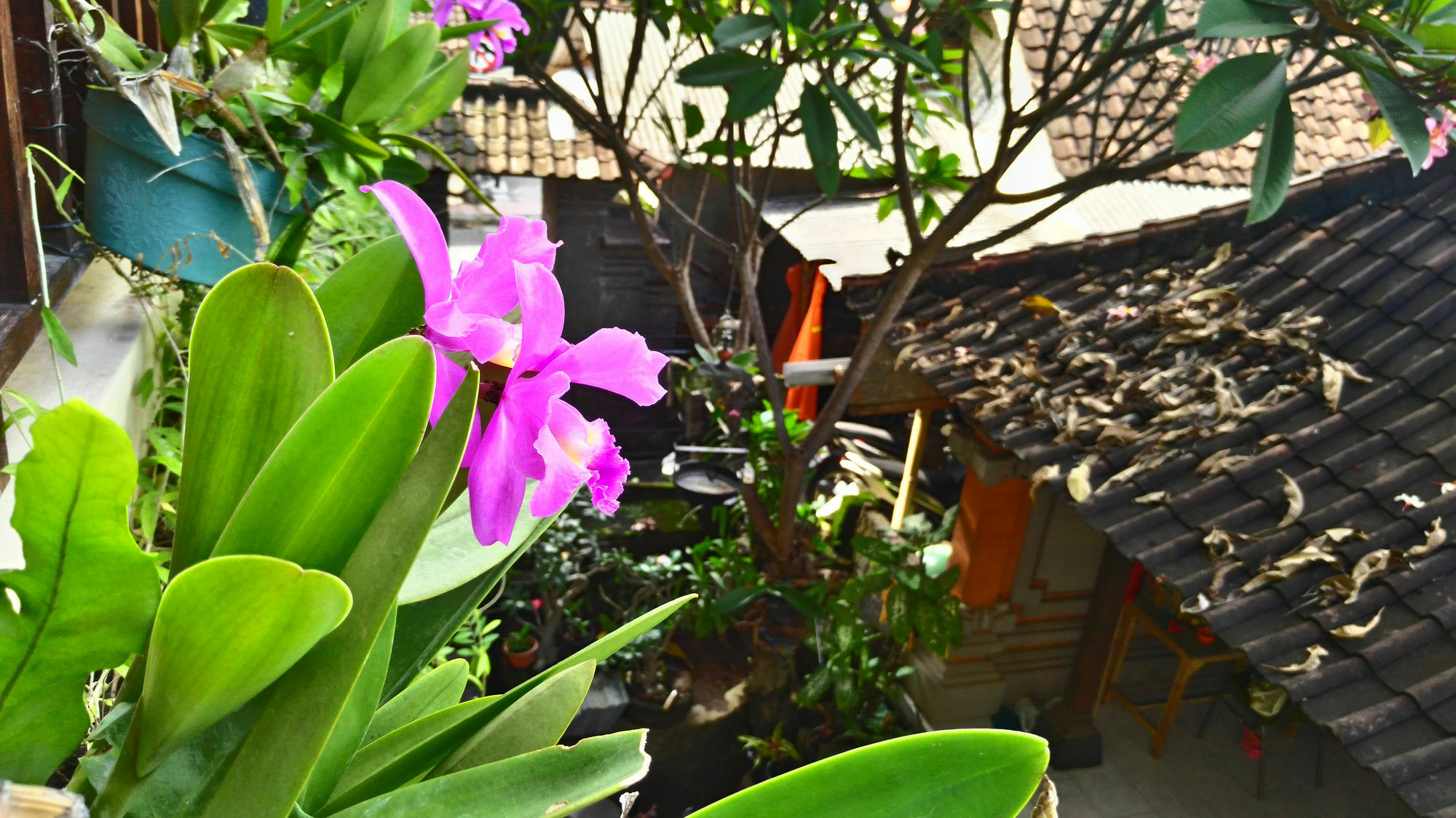 Nyoman Badri Homestay Ubud Extérieur photo